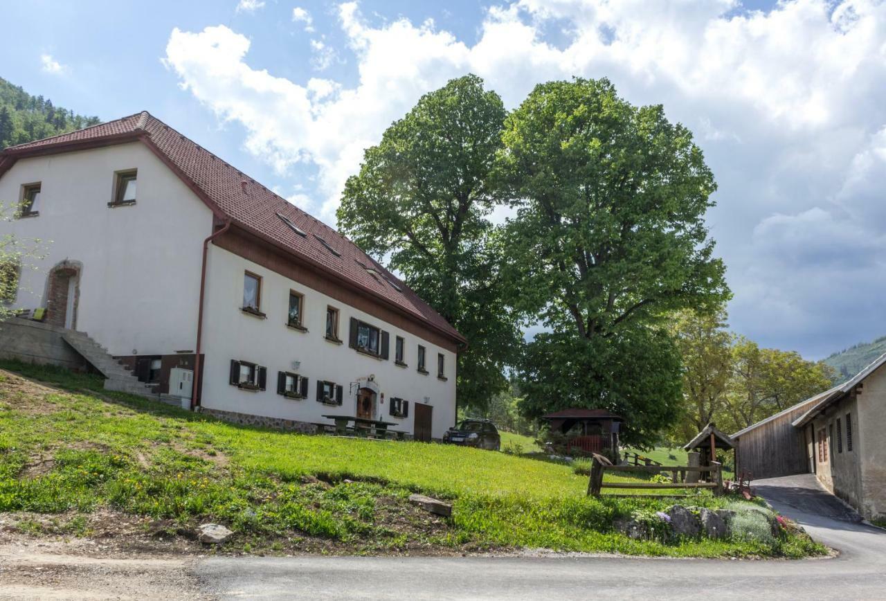 Villa Turisticna Kmetija Toman Gornji Grad Exterior foto