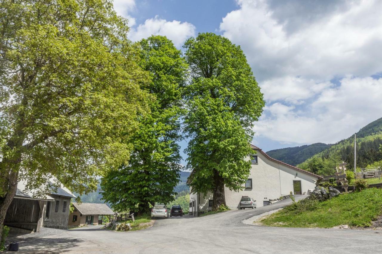 Villa Turisticna Kmetija Toman Gornji Grad Exterior foto